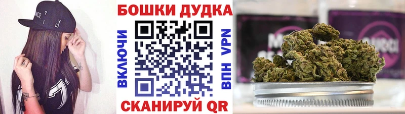 Виды наркотиков купить Очёр ГАШИШ  Марихуана  Alpha-PVP  МЕФ 