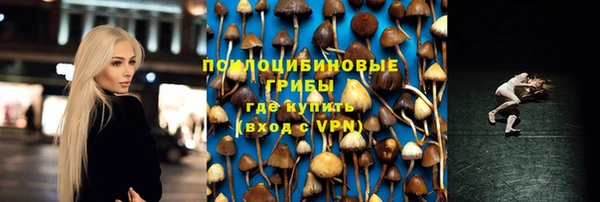 ГАЛЛЮЦИНОГЕННЫЕ ГРИБЫ Верея